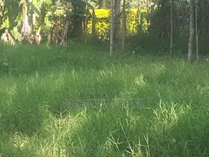 1.2 Acre Residential Land for Sale in Ngong (Kibiko)