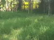 1.2 Acre Residential Land for Sale in Ngong (Kibiko) - 1
