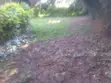 1.2 Acre Residential Land for Sale in Ngong (Kibiko) - 2