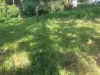 1.2 Acre Residential Land for Sale in Ngong (Kibiko) - 4