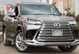 Lexus LX 2022 - 1