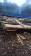 Mbao Zinazobeba Mizigo Mzito - 2