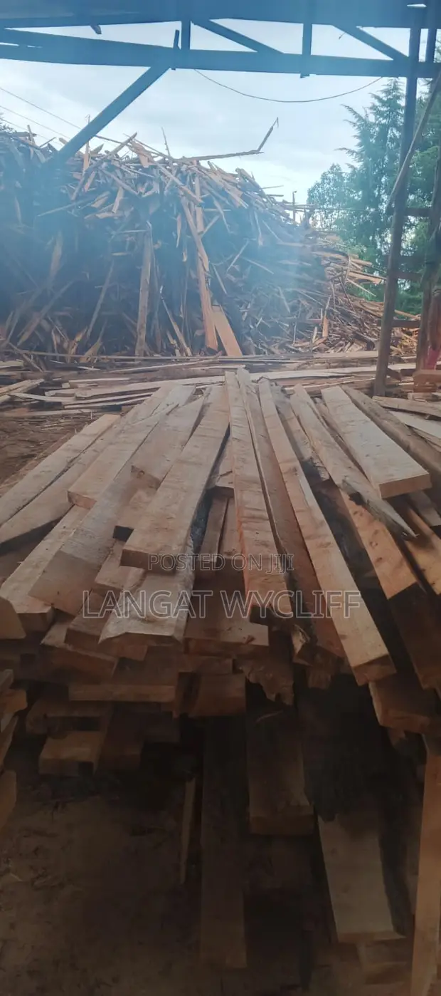 Mbao na Mti Bora kwa Paa - 1