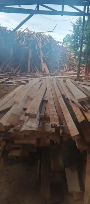 Quality Wood and Timber for Roofing