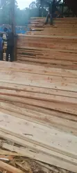 Mbao na Mti Bora kwa Paa - 2