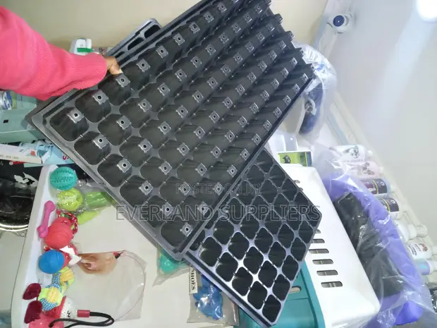 Nursery Planting Cell Seedling Trays - Wholesale - 1