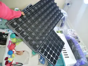 Nursery Planting Cell Seedling Trays - Wholesale