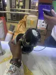 1200W Vacuum Cleaner Motor - 2
