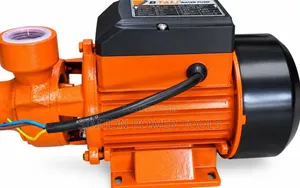 BTALI ID-60 Peripheral Water Pump