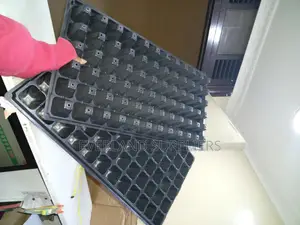 Organized Vegetable Seedling Trays - Wholesale