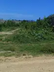 5.5 Acres Beach Land for Sale in Diani (Galu Kinondo) - 2