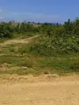 5.5 Acres Beach Land for Sale in Diani (Galu Kinondo) - 3