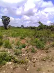 5.5 Acres Beach Land for Sale in Diani (Galu Kinondo) - 5