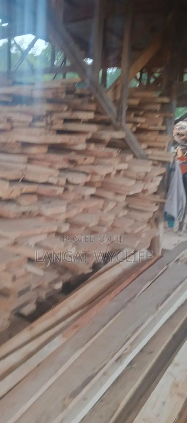Wood Cuts and Building Material - 1