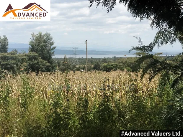 Prime 1/8 Acre Plot for Sale in Piave, Nakuru - 1