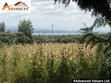 Kitalu Bora cha 1/8 Eka kwa Uuzaji Piave, Nakuru - 1