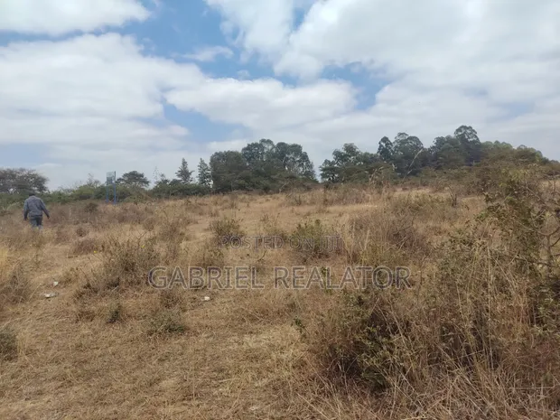 Kiwanja kwa Mauzo Tora, Ngoingwa - 1