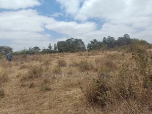 Kiwanja kwa Mauzo Tora, Ngoingwa