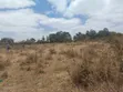 Kiwanja kwa Mauzo Tora, Ngoingwa - 2