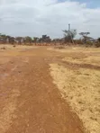 Kiwanja kwa Mauzo Tora, Ngoingwa - 3
