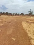 Kiwanja kwa Mauzo Tora, Ngoingwa - 4