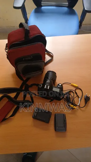 Nikon D50 Digital Camera with Lens, Bag, and Charger