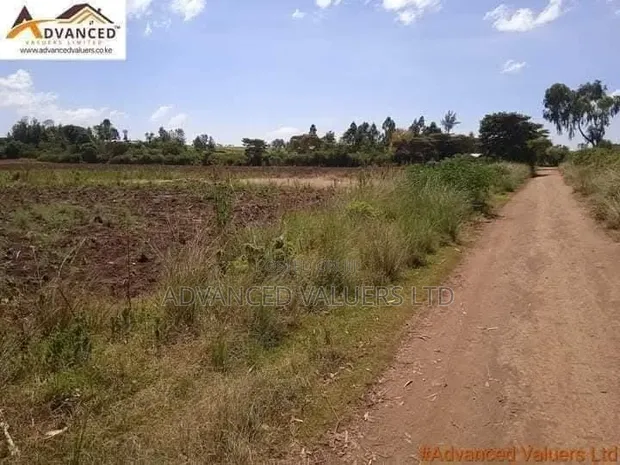 Serene Gardens Project - Njoro Plots - 1
