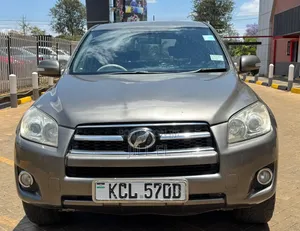 Toyota RAV4 2010 Gray