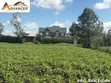 Kitalu Bora cha 1/4 Eka kwa Uuzaji Ngata, Nakuru - 1