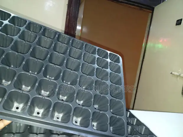 Plant Seedling Trays - 1