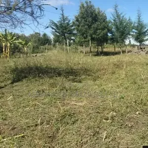 Viwanja vya Makazi kwa Mauzo Ngata, Nakuru