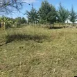 Residential Plots for Sale in Ngata, Nakuru - 1