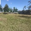 Residential Plots for Sale in Ngata, Nakuru - 2