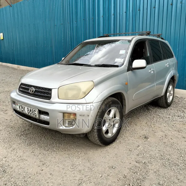 Toyota RAV4 X G Package 2002 Silver - 1