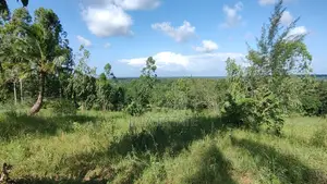 Rare 3-Acre Mixed-Use Land in Upscale Ukunda