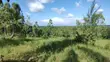 Rare 3-Acre Mixed-Use Land in Upscale Ukunda - 1