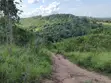 Rare 3-Acre Mixed-Use Land in Upscale Ukunda - 2
