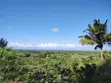 Rare 3-Acre Mixed-Use Land in Upscale Ukunda - 3