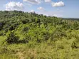 Rare 3-Acre Mixed-Use Land in Upscale Ukunda - 5