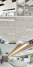Decorative Acoustic Ceiling Panels - 2
