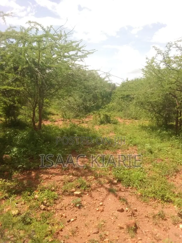 Land for Sale in Mbeere Kiritiri - 1