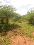 Land for Sale in Mbeere Kiritiri - 1