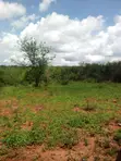 Land for Sale in Mbeere Kiritiri - 2