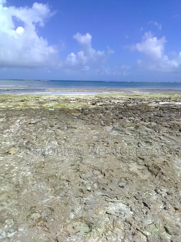 Diani Beachfront Plots for Sale - 0.25 Acres - 1