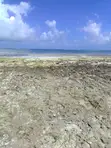 Diani Beachfront Plots for Sale - 0.25 Acres - 1