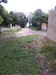 Diani Beachfront Plots for Sale - 0.25 Acres - 2