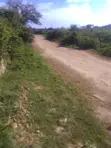 Diani Beachfront Plots for Sale - 0.25 Acres - 5