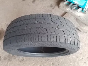 Matairi 225/55R18 Dunlop Exjapan