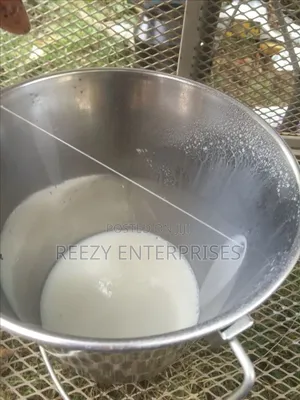 Fresh Organic Goat Milk