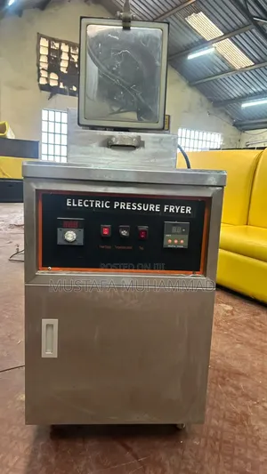 Brand New Electric Pressure Fryer
